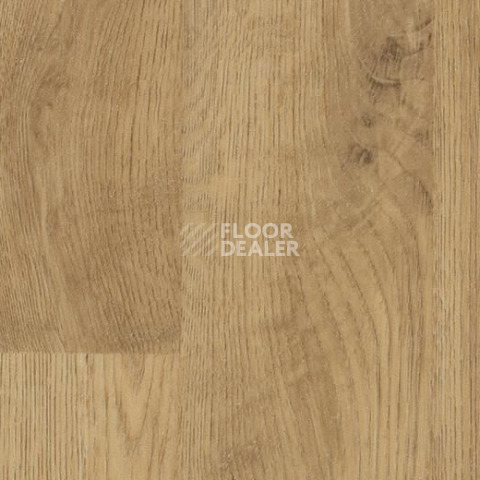 Линолеум Forbo SureStep Wood 18942 natural oak фото 1 | FLOORDEALER